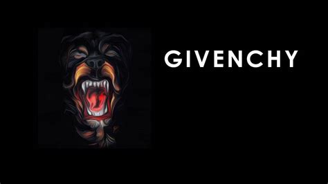 givenchy dog wallpaper|Download Givenchy Iconic Rottweiler Wallpaper .